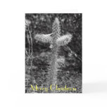 Crusifiction Cactus, Merry Christmas cards