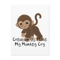 Crying Monkey