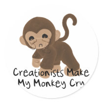 Crying Monkey