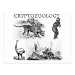 cryptozoology postcard