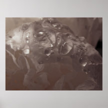 Crystal Clear Print