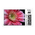 Crystal Clear Stamp