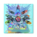 crystal conscious lite dolphins magnets
