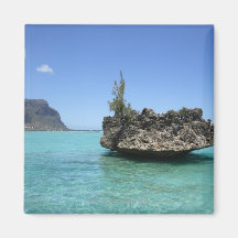 Crystal rock composed of coral magnets