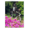 Crystal Springs Garden 1 cards