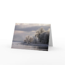 Crystal Trees