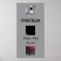 CS Stomper Bully Records Poster posters