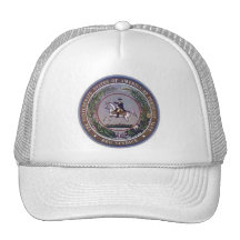 CSA SEAL HATS