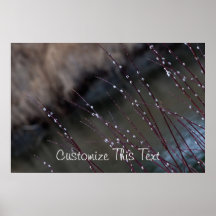 CSP Catkin Spring Print