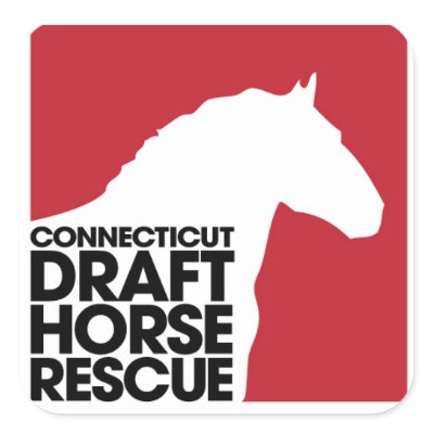 Draught Horse Rescue