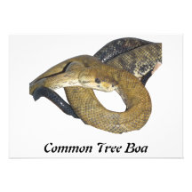 CTB Invitations