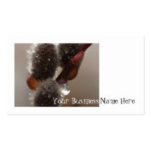 CTR Catkin Trio Business Card Templates