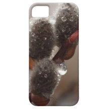 CTR Catkin Trio iPhone 5 Cases