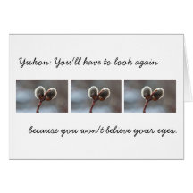CTW Catkin Twins Cards
