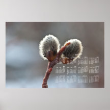 CTW Catkin Twins Poster