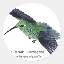 Cuban Emerald Hummingbird with Name Stickers