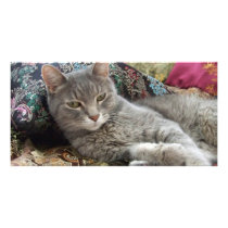 Cuddles on Pillow Bookmark