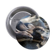 Cuddling Otters Pins