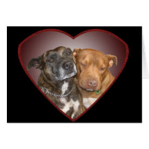 Cuddling Staffy Heart  Blank Cards
