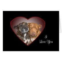 Cuddling Staffy Heart Card