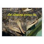 Cuddly Gators cards