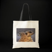 Cuddly Kats Bag