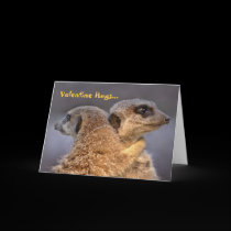 Cuddly Kats Valentine's Card