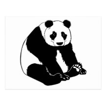 Cuddly Panda Bear Post Cards