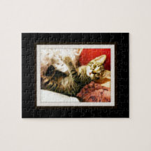 Cujo the Cat Puzzle