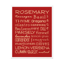 Culinary Herbs Gallery Wrap Canvas