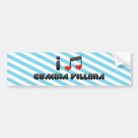 Cumbia Villera Bumper Stickers