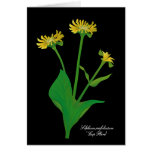 Cup Plant Greeting/Note Card