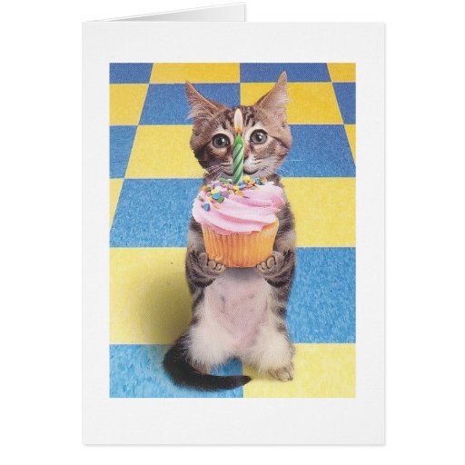 cupcake cat birthday card