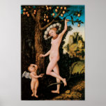 Cupid Complaining to Venus, c. 1525 Poster