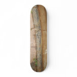 Curb skateboards