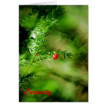 curiosity greeting card