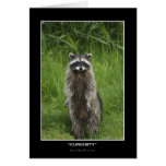 "CURIOSITY" Coon Note & Greeting-cards