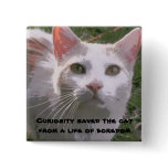 Curiosity saved the cat buttons