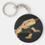 Curious Bearded Dragon Keychains