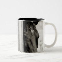 Curious Black Horse Mug