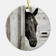 Curious Black Horse Ornaments