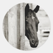 Curious Black Horse Round Stickers