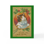 Curious Cat Christmas Card