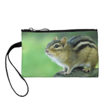 Curious Chipmunk  Coin Poster Coin Wallets