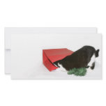 Curious Christmas cat photo cards