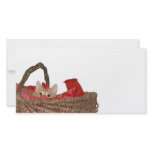 Curious Christmas kitty photo cards