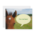 Curious colt with talk bubble invitations