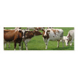 Curious Cows Photo Bookmarks Cards business cards