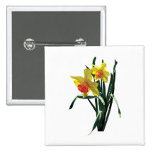 Curious Daffodils Buttons