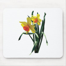 Curious Daffodils Mouse Mat